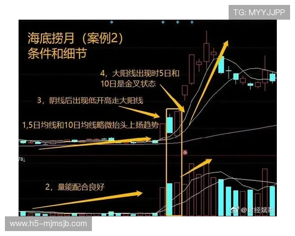 2024年足球竞猜赛程表详细解析，助你轻松把握每场比赛的竞猜机会