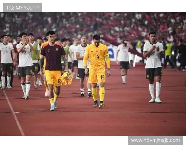 中国队世界杯比赛回放全集，高清无删减版本在线观看指南